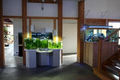 Killikus&reg; Fotographie